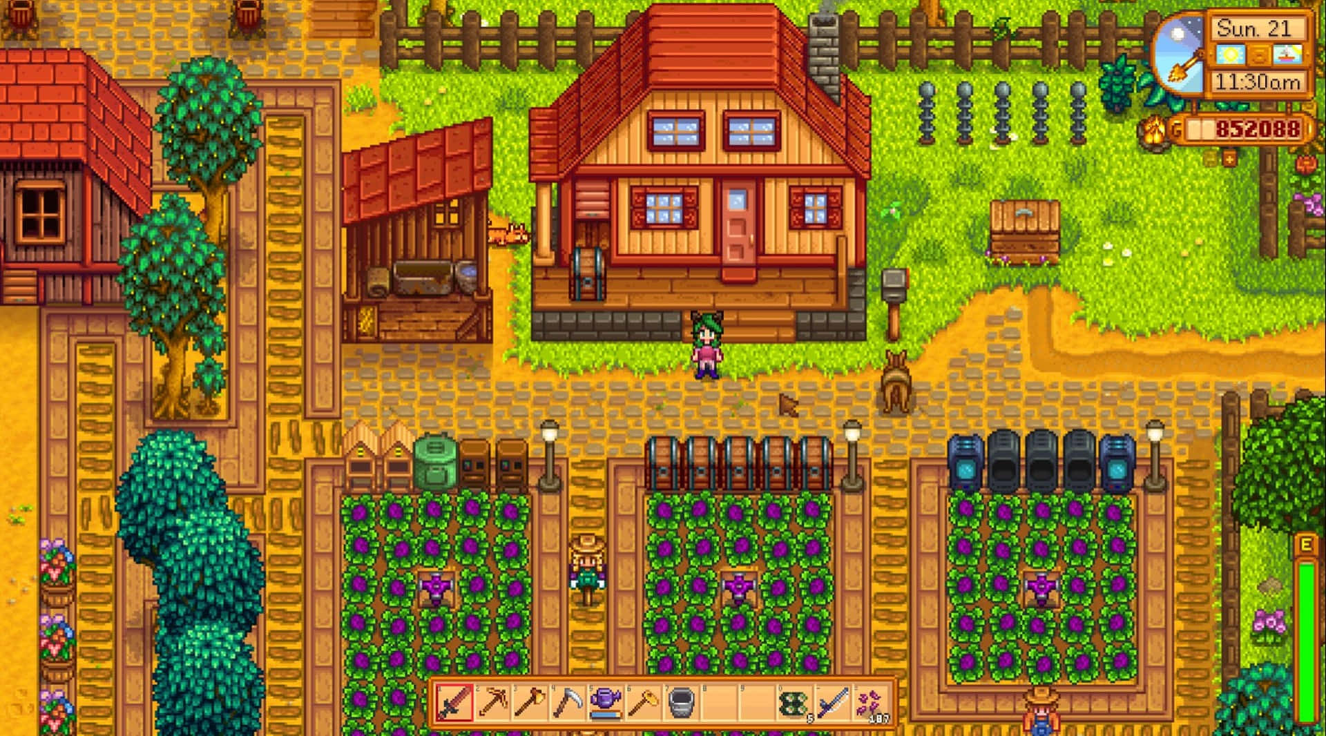images/games/stardew-valley.jpg
